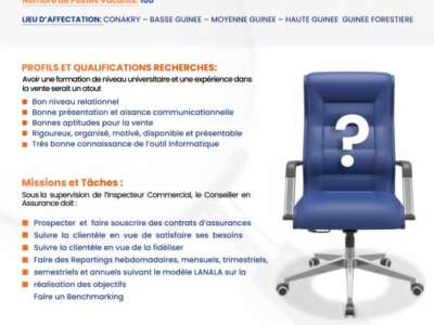 CONSEILLERS EN ASSURANCE VIE - LANALA ASSURANCE