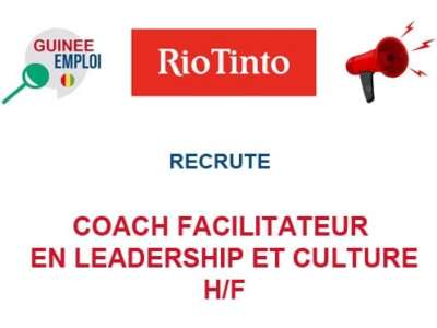COACH FACILITATEUR EN LEADERSHIP ET CULTURE H/F