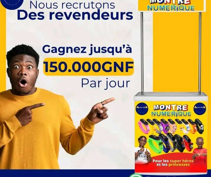 NOUS RECRUTONS DES REVENDEURS