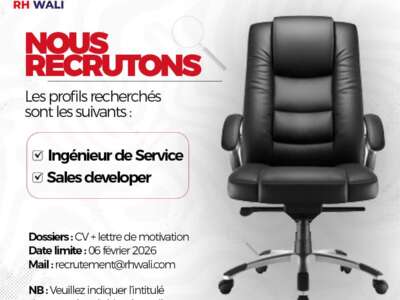INGENIEUR DE SERVICE ET SALES DEVELOPPER