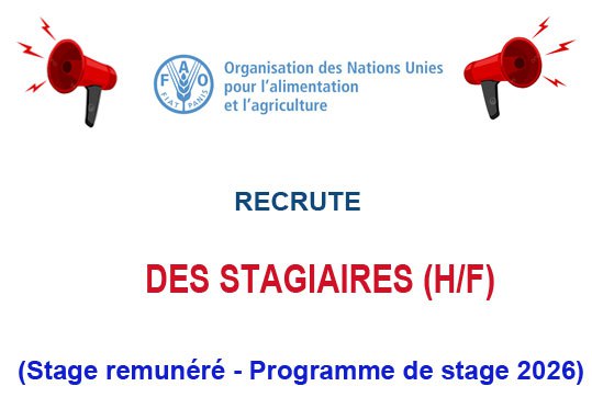 RECRUTE DES STAGIAIRES H/F