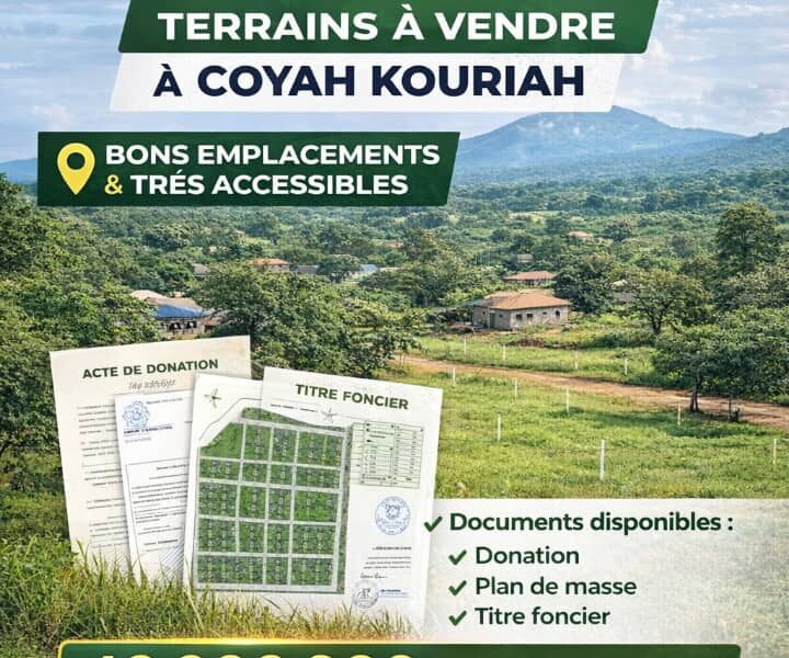VENTE DE TERRAIN