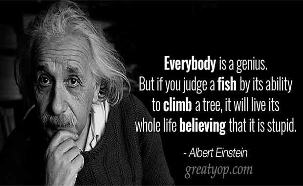 You are currently viewing Bourse Albert Einstein en Allemagne pour tous, 2026