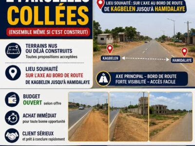 VENTE DE 2 PARCELLES COLLEES